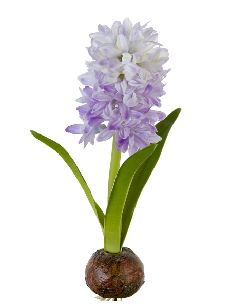 Picture of 13" FRESH TOUCH HYACINTH