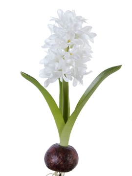 Picture of 13" FRESH TOUCH HYACINTH