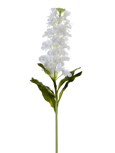 Picture of 29" FRESH TOUCH STOCK