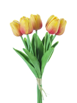 Picture of 12" TULIP STEM X7
