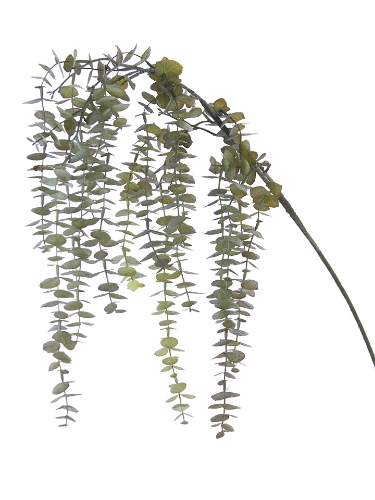 Picture of 48" HANGING EUCALYPTUS SPRAY