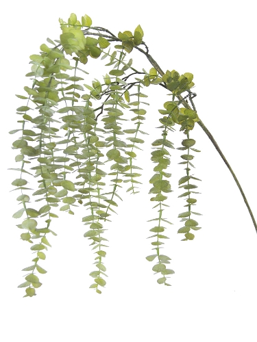 Picture of 48" HANGING EUCALYPTUS SPRAY