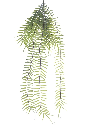 Picture of 31" LONG LEAF FERN SPRAY