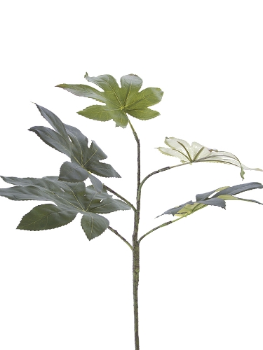 Picture of 25" FATISIA LEAF SPRAY