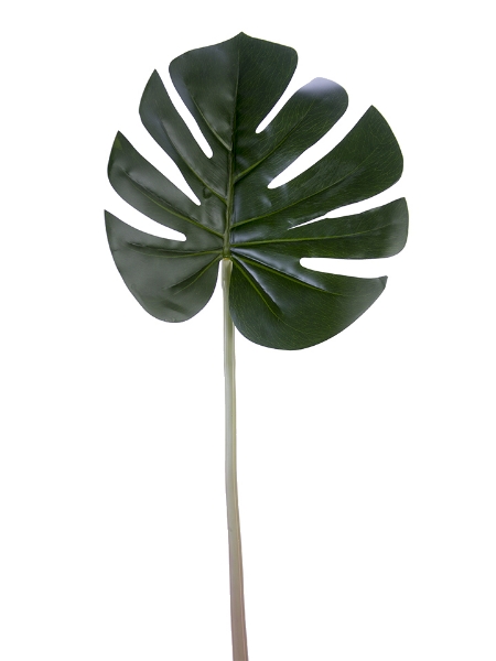 Picture of 32" MONSTERA LEAF