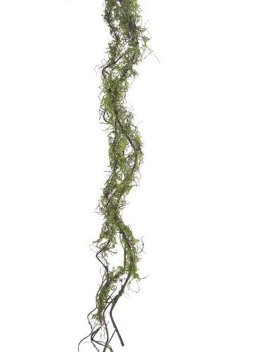 Picture of 5' MOSSY TWIG VINE