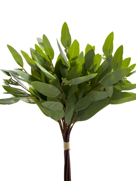 Picture of 17" LONG LEAF EUCALYPTUS BUNDLE X12