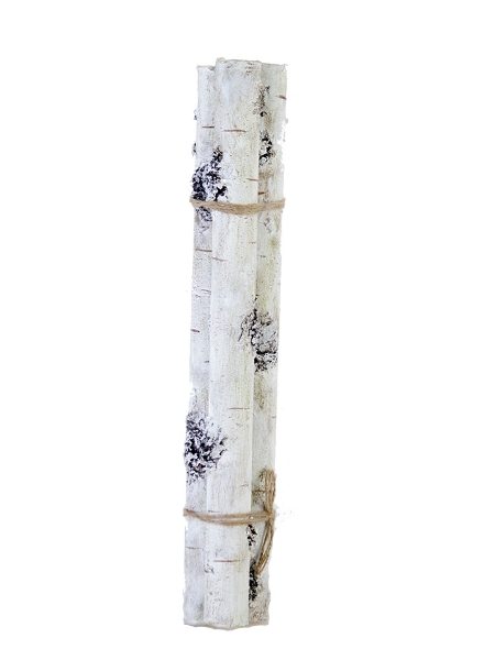 Picture of 22" X 1.5" BIRCH BUNDLE X3