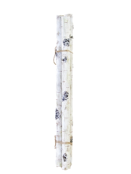 Picture of 34" X 1.5"  BIRCH BUNDLE X3