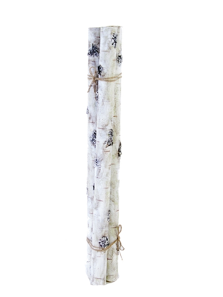 Picture of 36" X 2" BIRCH BUNDLE X3