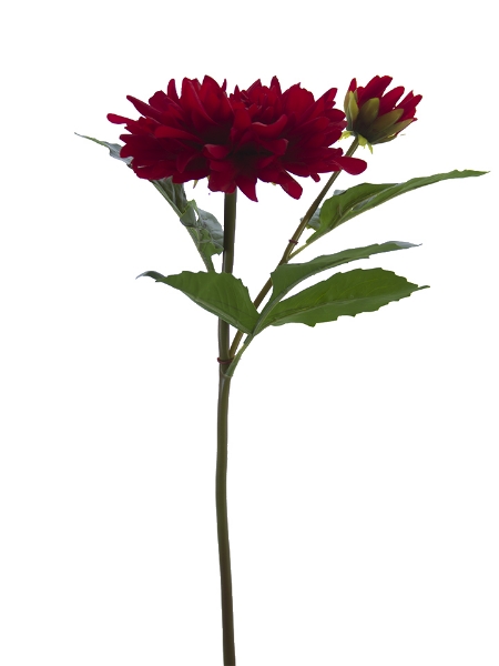 Picture of 22" DAHLIA