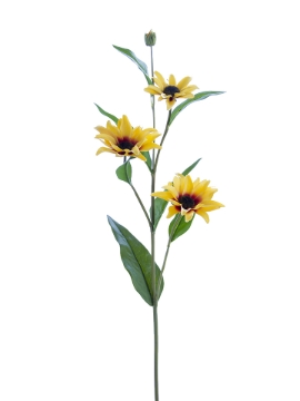 Picture of 31" BLACK EYED SUSAN