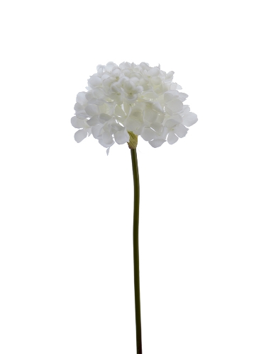 Picture of 21" GARDEN HYDRANGEA