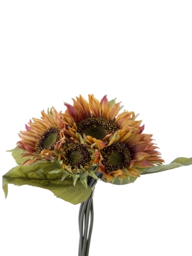 Picture of 14'' SUNFLOWER BUNDLE X6