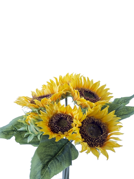 Picture of 14'' SUNFLOWER BUNDLE X6
