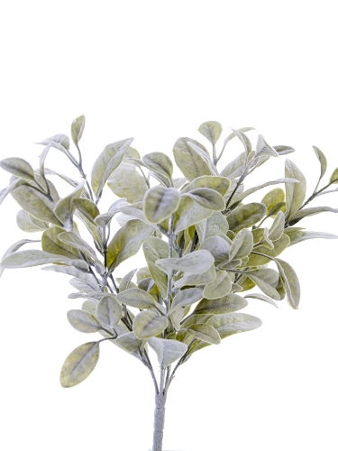 Picture of 15" BAY LEAF BUSH