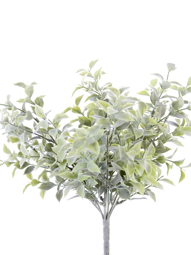 Picture of 14" LAUREL LEAF BUSH