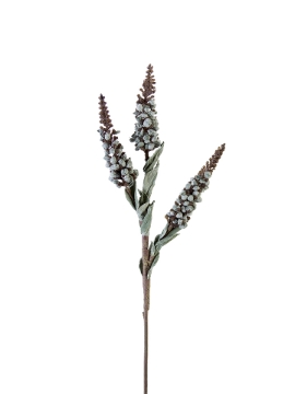 Picture of 19" DRIED SEED STEMS