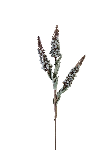 Picture of 19" DRIED SEED STEMS