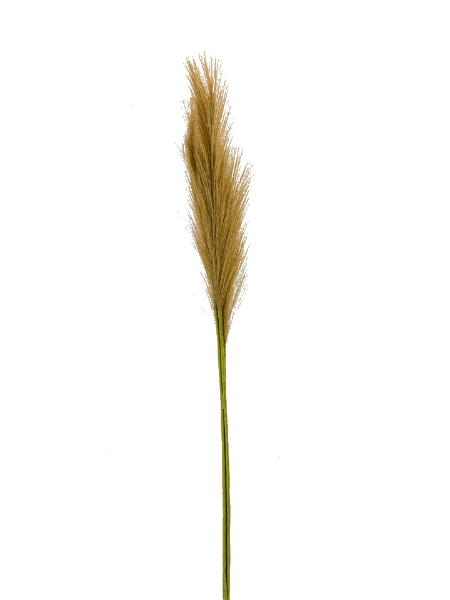 Picture of 30" PAMPAS GRASS SPRAY X3