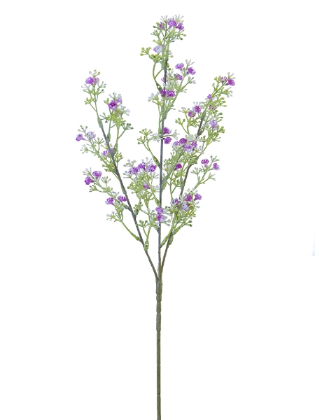 Picture of 25.6" WILD BABYSBREATH SPRAY X3