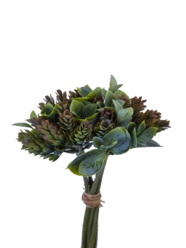 Picture of 11" HOPS BUNDLE