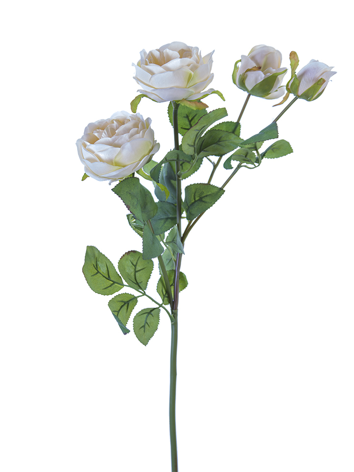 American Best. 28"CABBAGE ROSE SPRAY 3F 1B