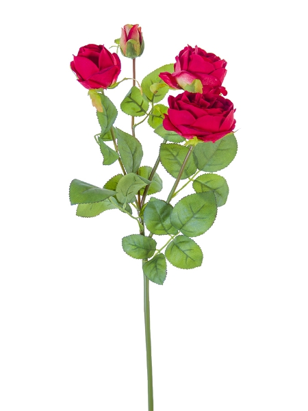 Picture of 28" CABBAGE ROSE SPRAY