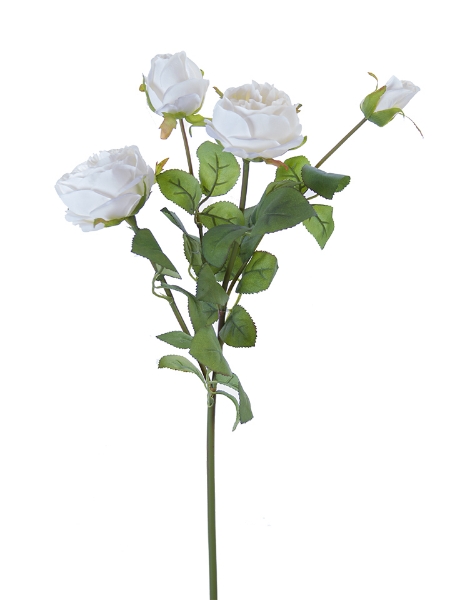 Picture of 28" CABBAGE ROSE SPRAY
