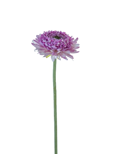 Picture of 18.5" CHRYSANTHEMUM STEM