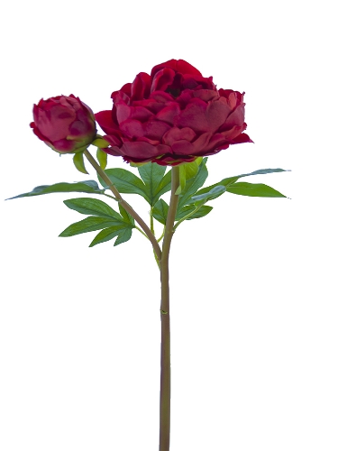 Picture of 26" FRESH TOUCH HEIRLOOM PEONY