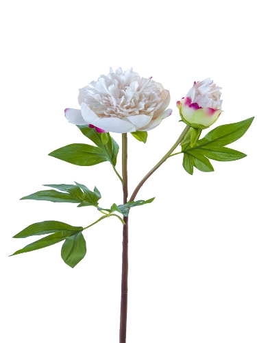 Picture of 26" FRESH TOUCH RUFFLED PEONY