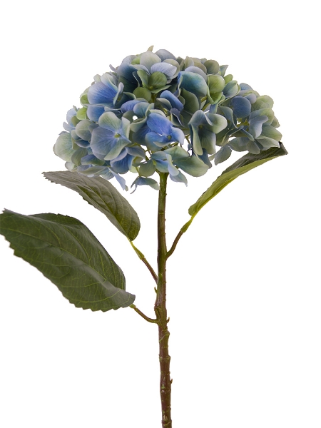 Picture of 21" WATERCOLOR MOPHEAD HYDRANGEA