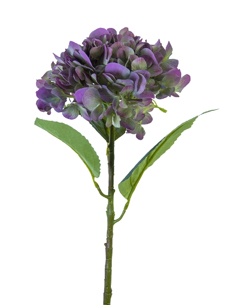 Picture of 21" WATERCOLOR MOPHEAD HYDRANGEA