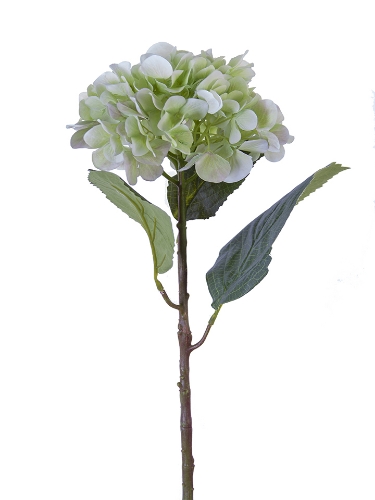 Picture of 21" WATERCOLOR MOPHEAD HYDRANGEA