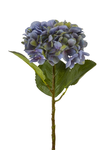 Picture of 21" WATERCOLOR MOPHEAD HYDRANGEA