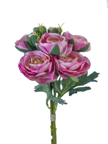 Picture of 17.5" ITALIAN RANUNCULUS BUNDLE