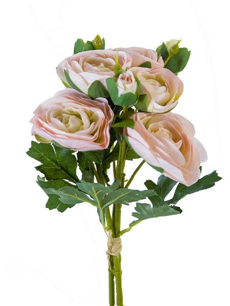 Picture of 17.5" ITALIAN RANUNCULUS BUNDLE