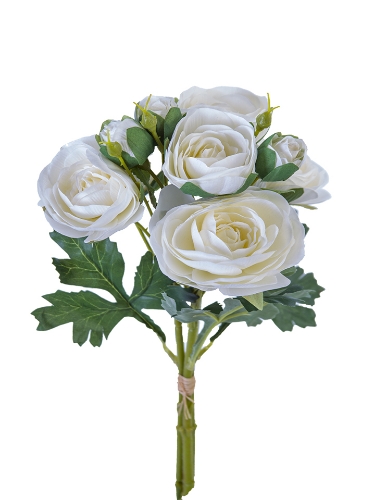 Picture of 17.5" ITALIAN RANUNCULUS BUNDLE