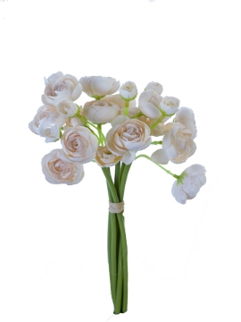 Picture of 11" MINI RANUNCULUS BUNDLE