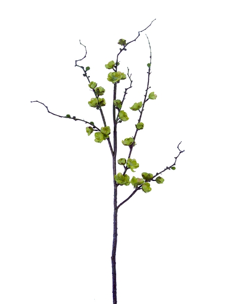 Picture of 35" PLUM BLOSSOM SPRAY