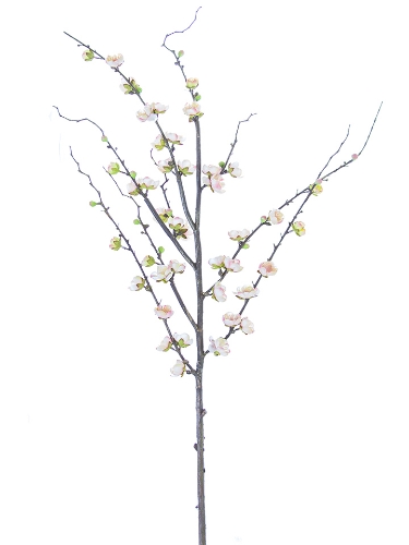 Picture of 51" PLUM BLOSSOM SPRAY