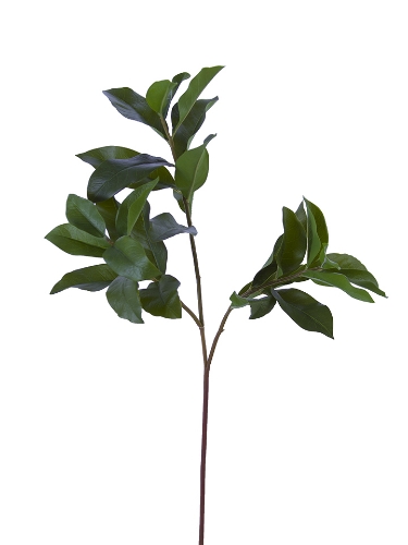 Picture of 27" OSMANTHUS LEAVES SPRAY