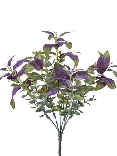 Picture of 14" EUCALYPTUS SAGE BUSH