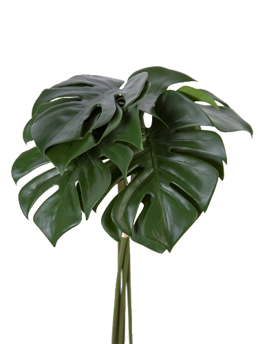 Picture of 20.5" MONSTERA LEAF BUNDLE