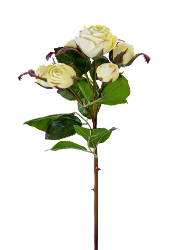 Picture of 22" FRESH TOUCH ENGLISH ROSE BUDS