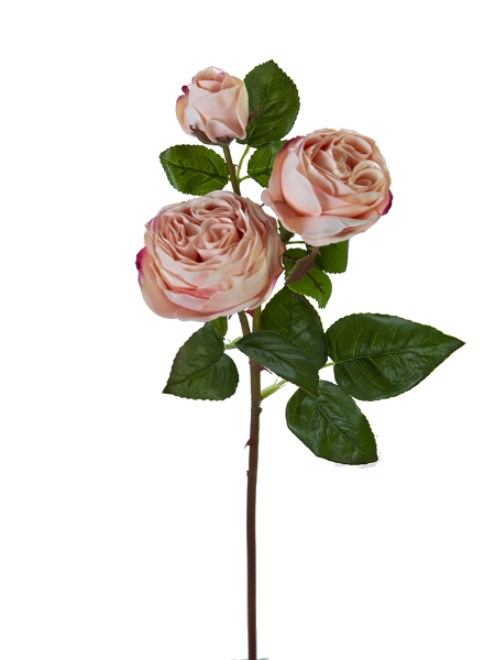 Picture of 21" FRESH TOUCH CABBAGE ROSE SPRAY