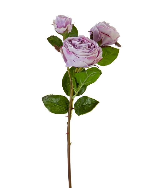 Picture of 21" FRESH TOUCH CABBAGE ROSE SPRAY