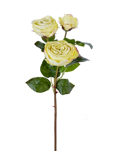 Picture of 21" FRESH TOUCH CABBAGE ROSE SPRAY