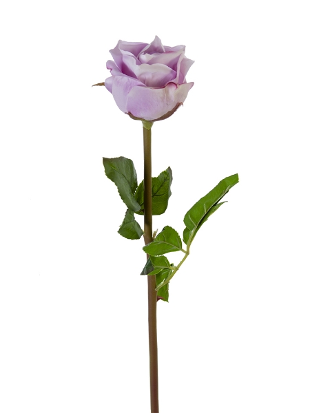 Picture of 25" FRESH TOUCH OPEN BEAUTY ROSE